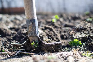 garden waste