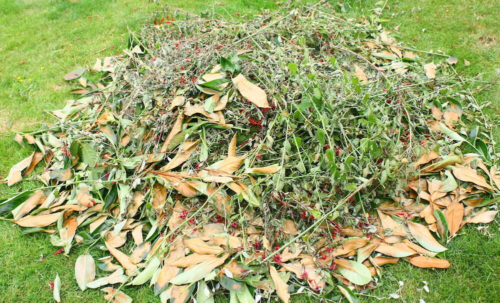 garden waste clearance spring