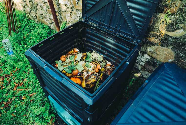 Compost bin with food