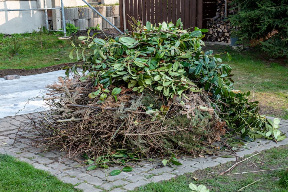 pile of garden waste