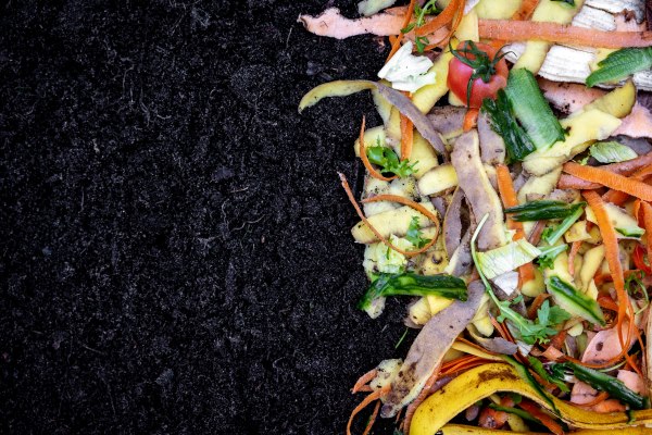 Kitchen and Garden Waste Compost