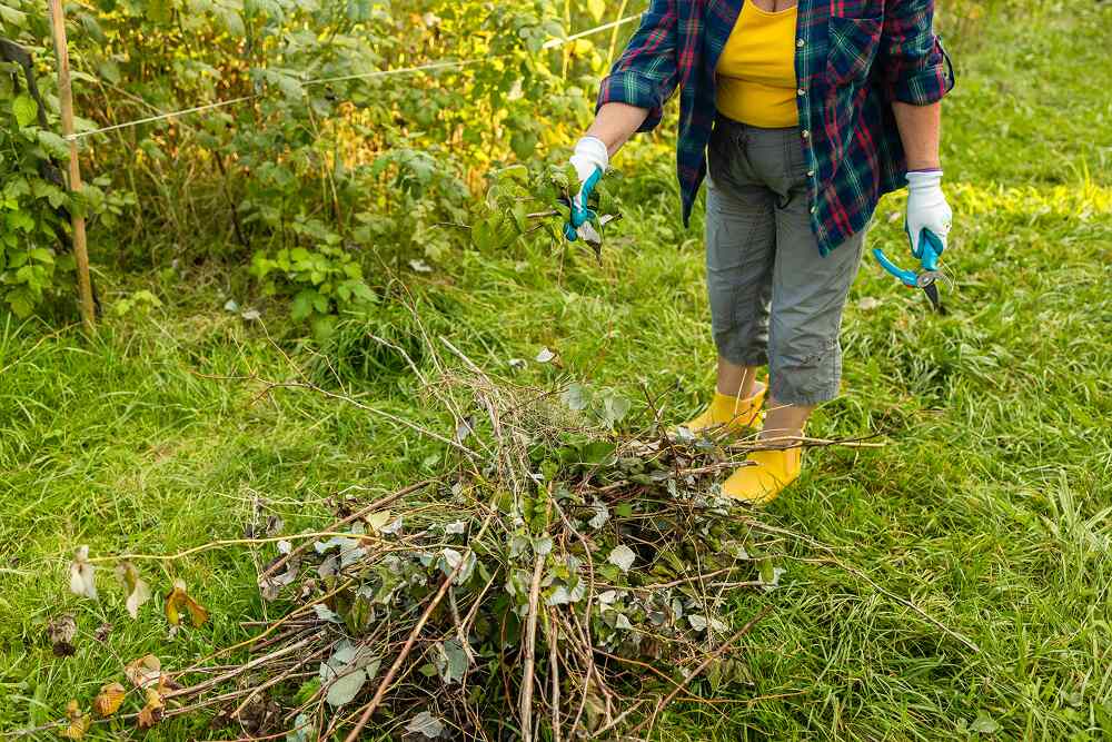 Plant-waste